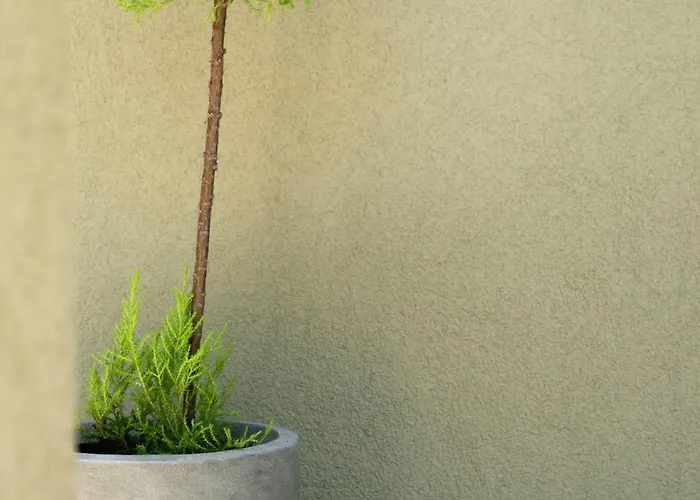 Semesterbostad Socrates *