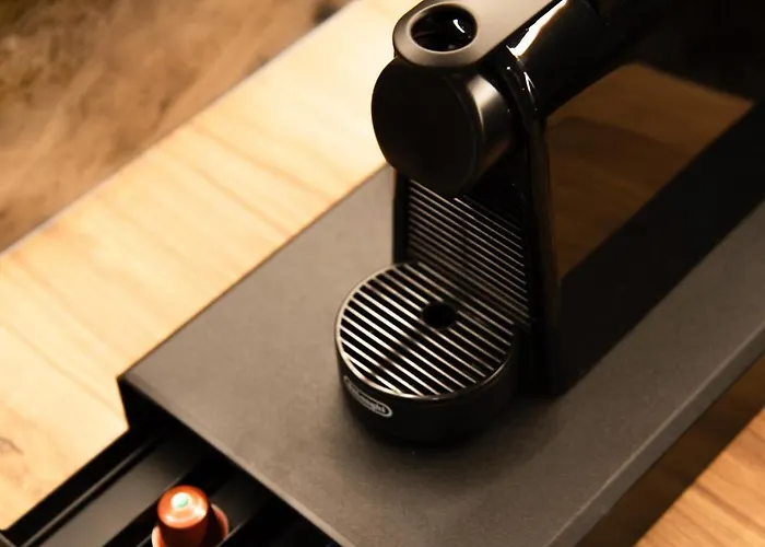 Socrates * Vitaládes